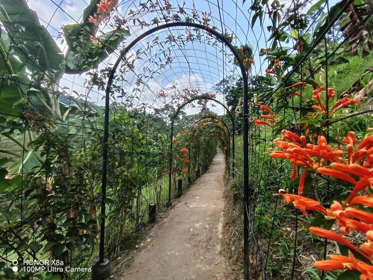 Hospedaje Campestre Providencia Villa Manizales Dış mekan fotoğraf