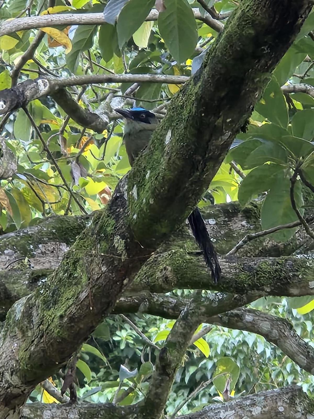 Hospedaje Campestre Providencia Villa Manizales Dış mekan fotoğraf