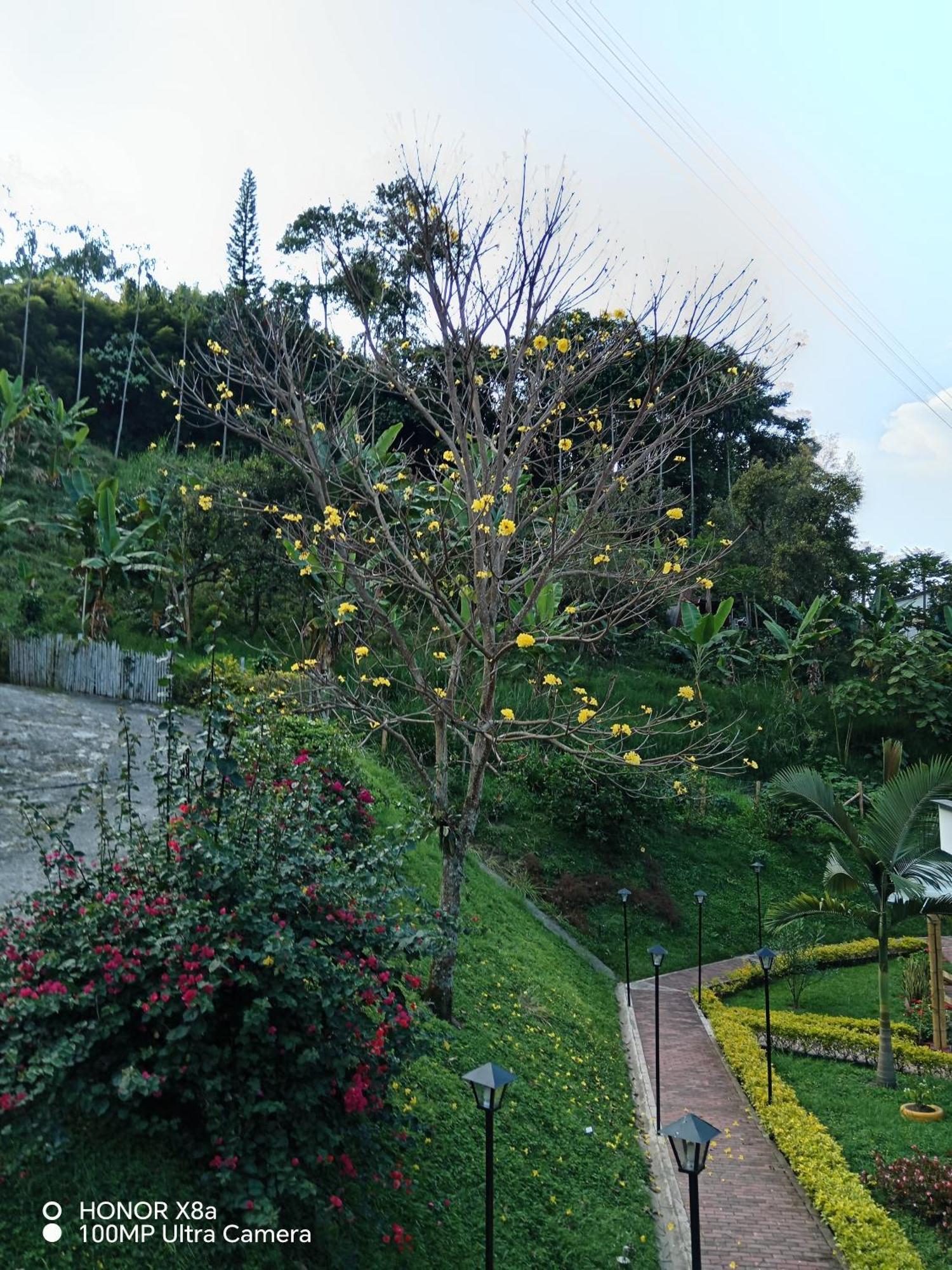 Hospedaje Campestre Providencia Villa Manizales Dış mekan fotoğraf